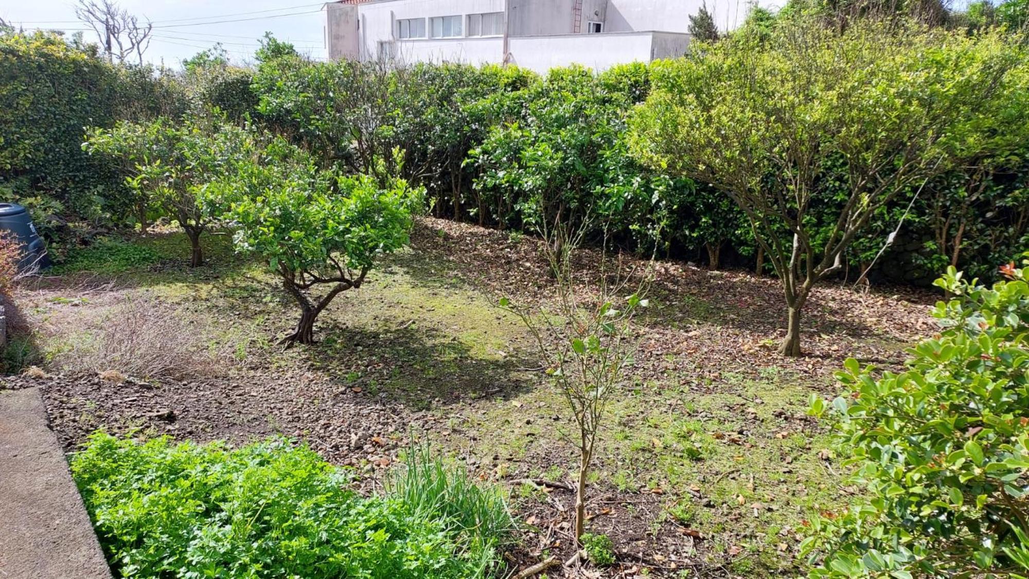Retiro Das Camelias 1 Lajes das Flores Екстериор снимка