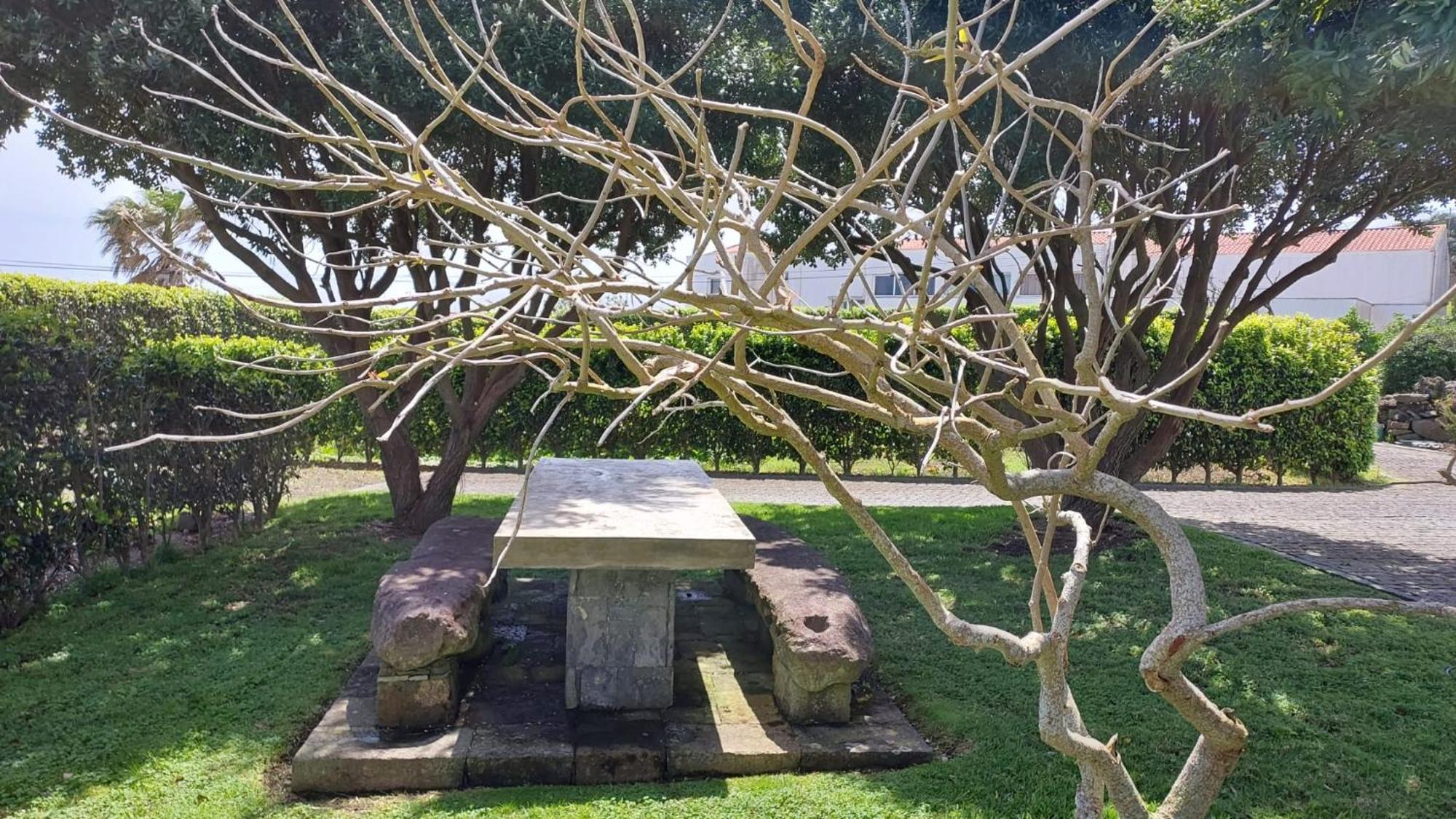 Retiro Das Camelias 1 Lajes das Flores Екстериор снимка